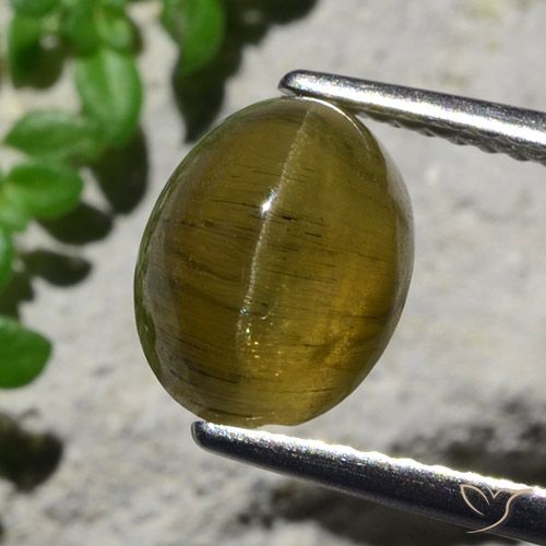 3.23ct Натуральный Кофе коричневый Апатит Кошачий Глаз, Овал, Полупрозрачный
