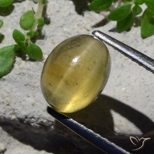 2.38ct Натуральный Светло-желтый Апатит Кошачий Глаз, Овал, Полупрозрачный