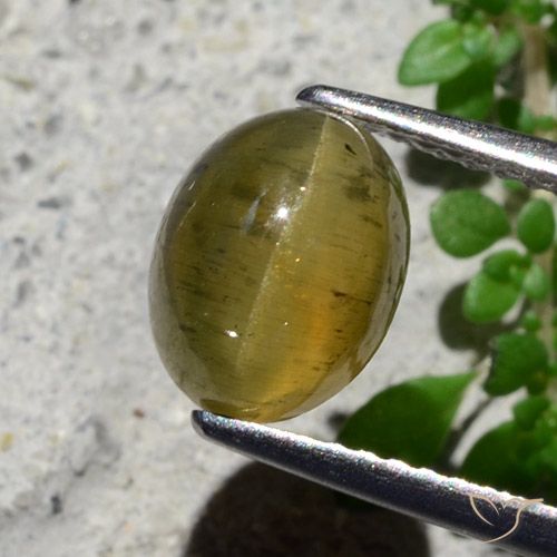 2.16ct Натуральный Средний желтый Апатит кошачий глаз, Овал, Полупрозрачный