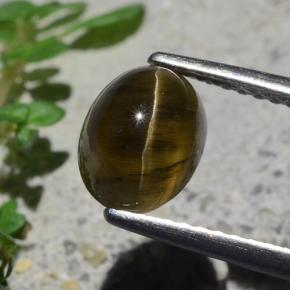 2.01 карата, натуральный Средне-темно-коричневый Апатит Кошачий Глаз, Огранка Овал, Полупрозрачный