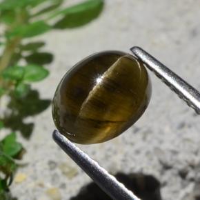 2.01 карата, натуральный Средне-темно-коричневый Апатит Кошачий Глаз, Огранка Овал, Полупрозрачный