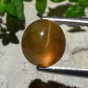 2.17 карата, натуральный Оранжевый Апатит Кошачий Глаз, Огранка Круг, Полупрозрачный