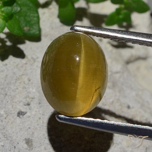 3.87ct Натуральный Землисто-желтый Апатит Кошачий Глаз, Овал, Полупрозрачный