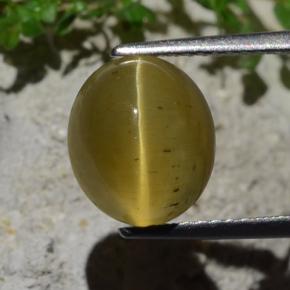 4.46 карата, натуральный Золотисто-зеленый Апатит Кошачий Глаз, Огранка Овал, Полупрозрачный