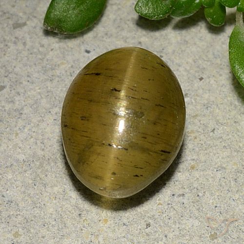 4.09ct Натуральный Желто-коричневый Апатит кошачий глаз, Овал, Полупрозрачный