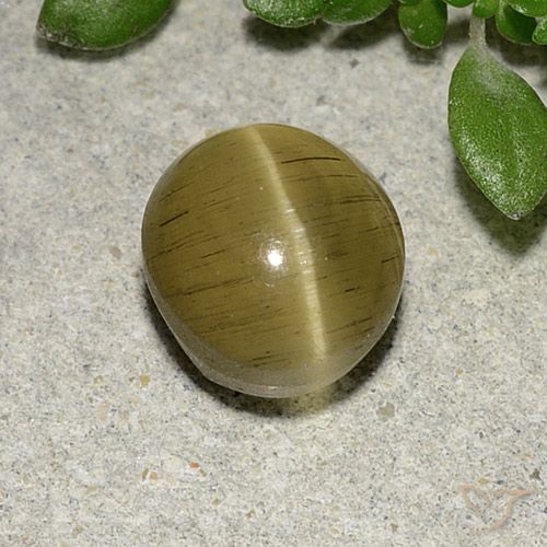2.70ct Натуральный Средний желтый Апатит кошачий глаз, Овал, Полупрозрачный