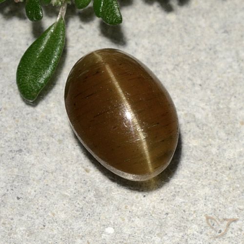 2.64 карата, натуральный Теплый коричневый Апатит Кошачий Глаз, Огранка Овал, Полупрозрачный