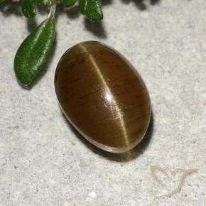 2.64 карата, натуральный Теплый коричневый Апатит Кошачий Глаз, Огранка Овал, Полупрозрачный