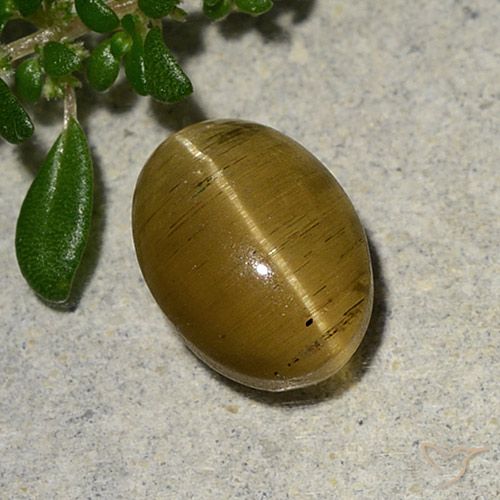 2.46ct Натуральный Коричневато-желтый Апатит кошачий глаз, Овал, Полупрозрачный