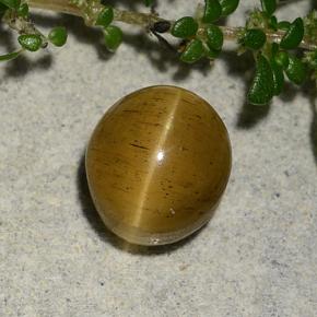 Натуральный золотой cat's eye apatite 2,60 карата огранка овал, полупрозрачный