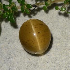 Натуральный золотой cat's eye apatite 2,60 карата огранка овал, полупрозрачный