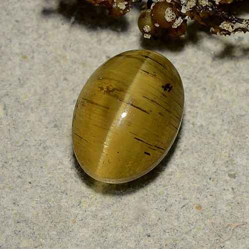 2.63ct Натуральный Землисто-желтый Апатит Кошачий Глаз, Овал, Полупрозрачный