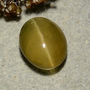 3.72 карата, натуральный Золотисто-зеленый Апатит Кошачий Глаз, Огранка Овал, Полупрозрачный