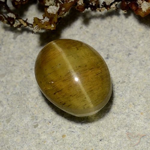 2.50ct Натуральный Желто-коричневый Апатит Кошачий Глаз, Овал, Полупрозрачный