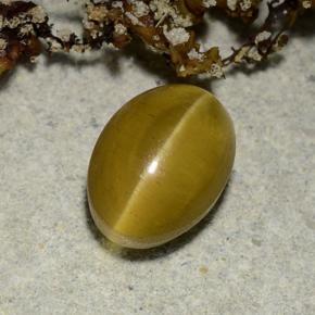 2.40 карата, натуральный Золотой Апатит Кошачий Глаз, Огранка Овал, Полупрозрачный