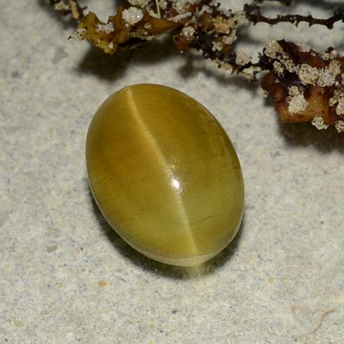 Натуральный жёлтый cat's eye apatite 2,68 карата огранка овал, полупрозрачный