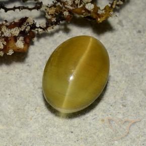Натуральный жёлтый cat's eye apatite 2,68 карата огранка овал, полупрозрачный