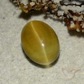 Натуральный жёлтый cat's eye apatite 2,68 карата огранка овал, полупрозрачный
