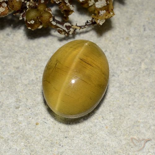 2.82ct Натуральный Желто-коричневый Апатит Кошачий Глаз, Овал, Полупрозрачный