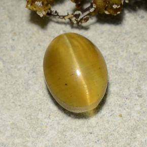 Натуральный жёлтый cat's eye apatite 2,57 карата огранка овал, полупрозрачный