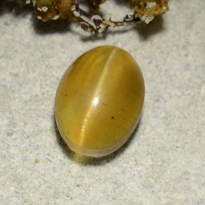 Натуральный жёлтый cat's eye apatite 2,57 карата огранка овал, полупрозрачный