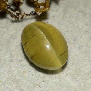 Натуральный золотой cat's eye apatite 2,83 карата огранка овал, полупрозрачный