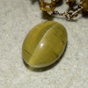 Натуральный золотой cat's eye apatite 2,83 карата огранка овал, полупрозрачный