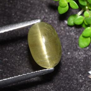 2.32 карата, натуральный Нейтральный желтый Апатит Кошачий Глаз, Огранка Овал, Полупрозрачный