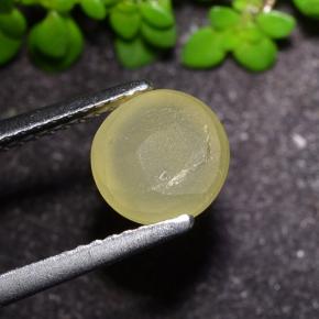 2.17 карата, натуральный Землисто-желтый Апатит Кошачий Глаз, Огранка Круг, Полупрозрачный