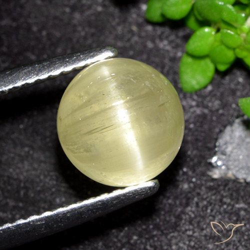 3.41ct Натуральный Средний желтый Апатит Кошачий Глаз, Круглый, Полупрозрачный