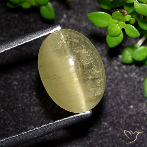 3.09ct Натуральный Средний желтый Апатит Кошачий Глаз, Овал, Прозрачный