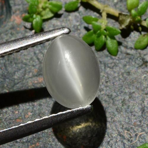 1.02ct Натуральный Теплый белый Лунный Камень Кошачий Глаз, Овал, Полупрозрачный