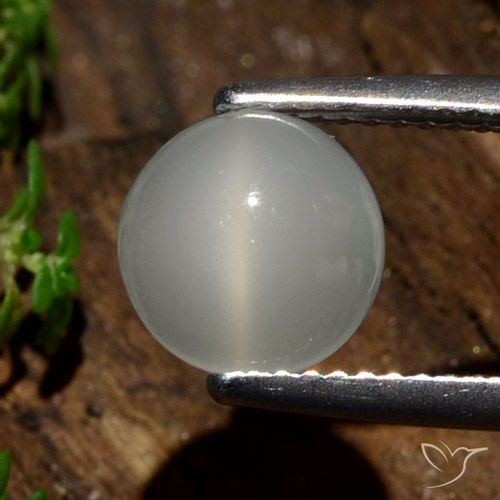 2.09ct Натуральный Теплый белый Лунный Камень Кошачий Глаз, Круглый, Полупрозрачный