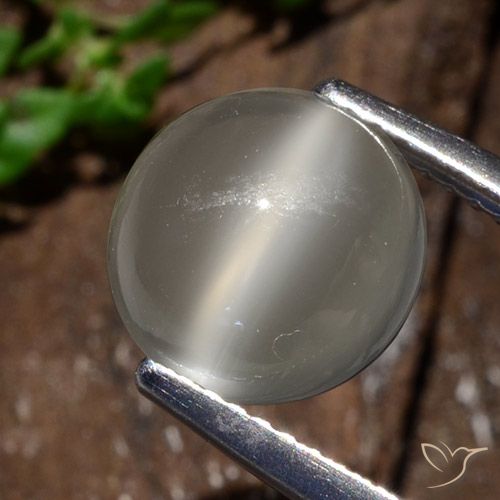 3.25ct Натуральный Теплый белый Лунный Камень Кошачий Глаз, Круглый, Полупрозрачный