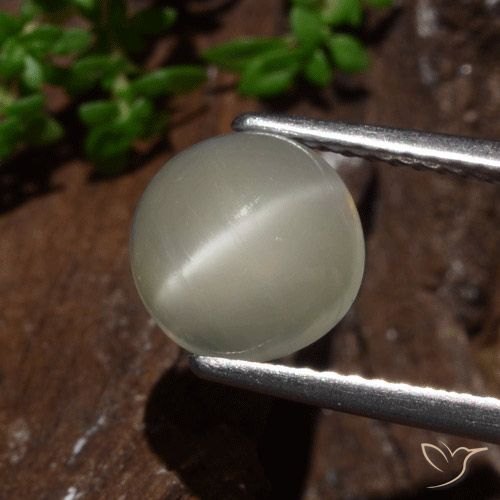 2.30ct Натуральный Светло-желтый Лунный Камень Кошачий Глаз, Круглый, Полупрозрачный