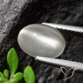 1.94 карата, натуральный Белый Лунный камень кошачий глаз, Огранка Овал, Прозрачный