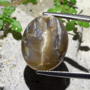 12.43 карата, натуральный Светло-коричневый Опал кошачий глаз, Огранка Овал, Непрозрачный