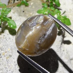 12.43 карата, натуральный Светло-коричневый Опал кошачий глаз, Огранка Овал, Непрозрачный