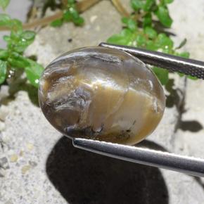 12.43 карата, натуральный Светло-коричневый Опал кошачий глаз, Огранка Овал, Непрозрачный