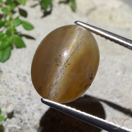 5.89ct Натуральный Коричневый Опал Кошачий Глаз, Овал, Полупрозрачный