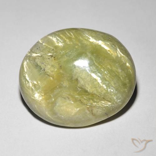 9.84ct Натуральный Теплый лесной зеленый Опал Кошачий Глаз, Овал, Непрозрачный