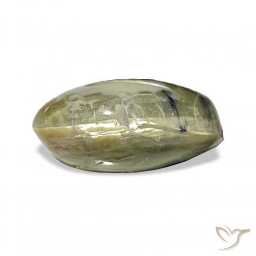 3.02ct Желтовато-зеленый Опал Кошачий Глаз, Овал, Непрозрачный
