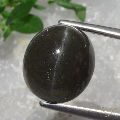 5.43ct Натуральный Темно-шоколадно-коричневый Скаполит Кошачий Глаз, Овал, Полупрозрачный