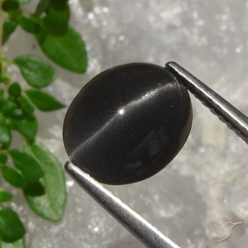 3.20ct Натуральный Темно-шоколадно-коричневый Скаполит Кошачий Глаз, Овал, Полупрозрачный