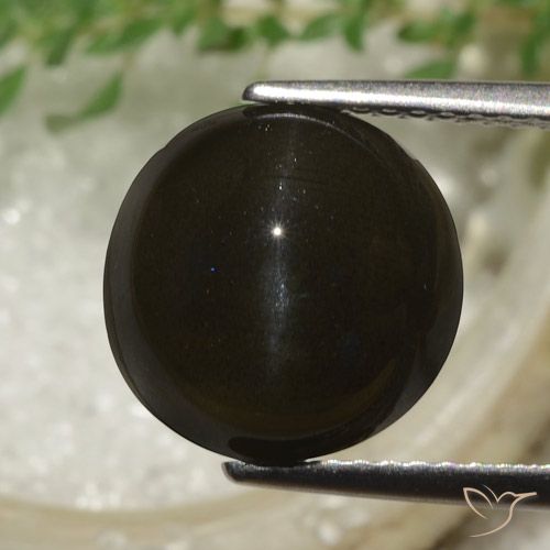 6.53ct Натуральный Темно-коричневый Скаполит Кошачий Глаз, Круглый, Полупрозрачный