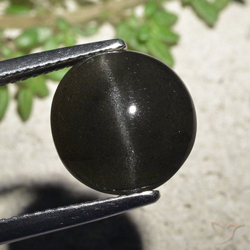 6.48ct Натуральный Черный Скаполит Кошачий Глаз, Круглый, Полупрозрачный