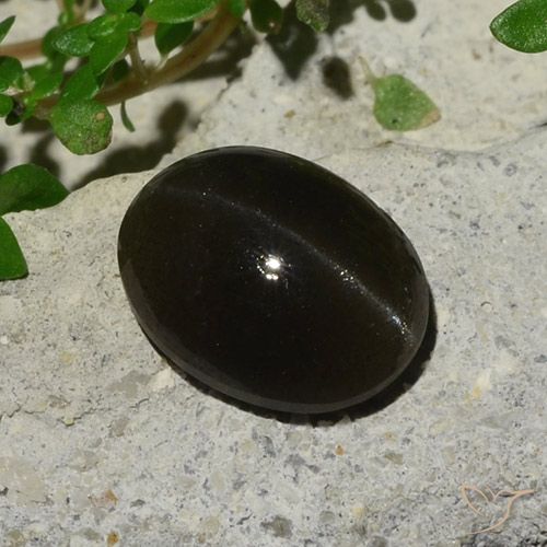 Натуральный чёрный cat's eye scapolite 5,10 карата огранка овал, полупрозрачный