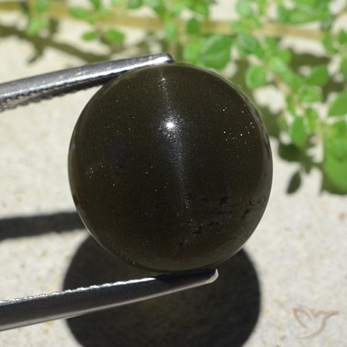 14.13ct Натуральный Черный Скаполит Кошачий Глаз, Овал, Непрозрачный