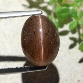 Натуральный коричневый cat's eye scapolite 4,55 карата огранка овал, полупрозрачный