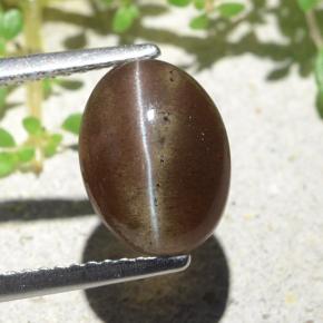 Натуральный коричневый cat's eye scapolite 3,84 карата огранка овал, полупрозрачный